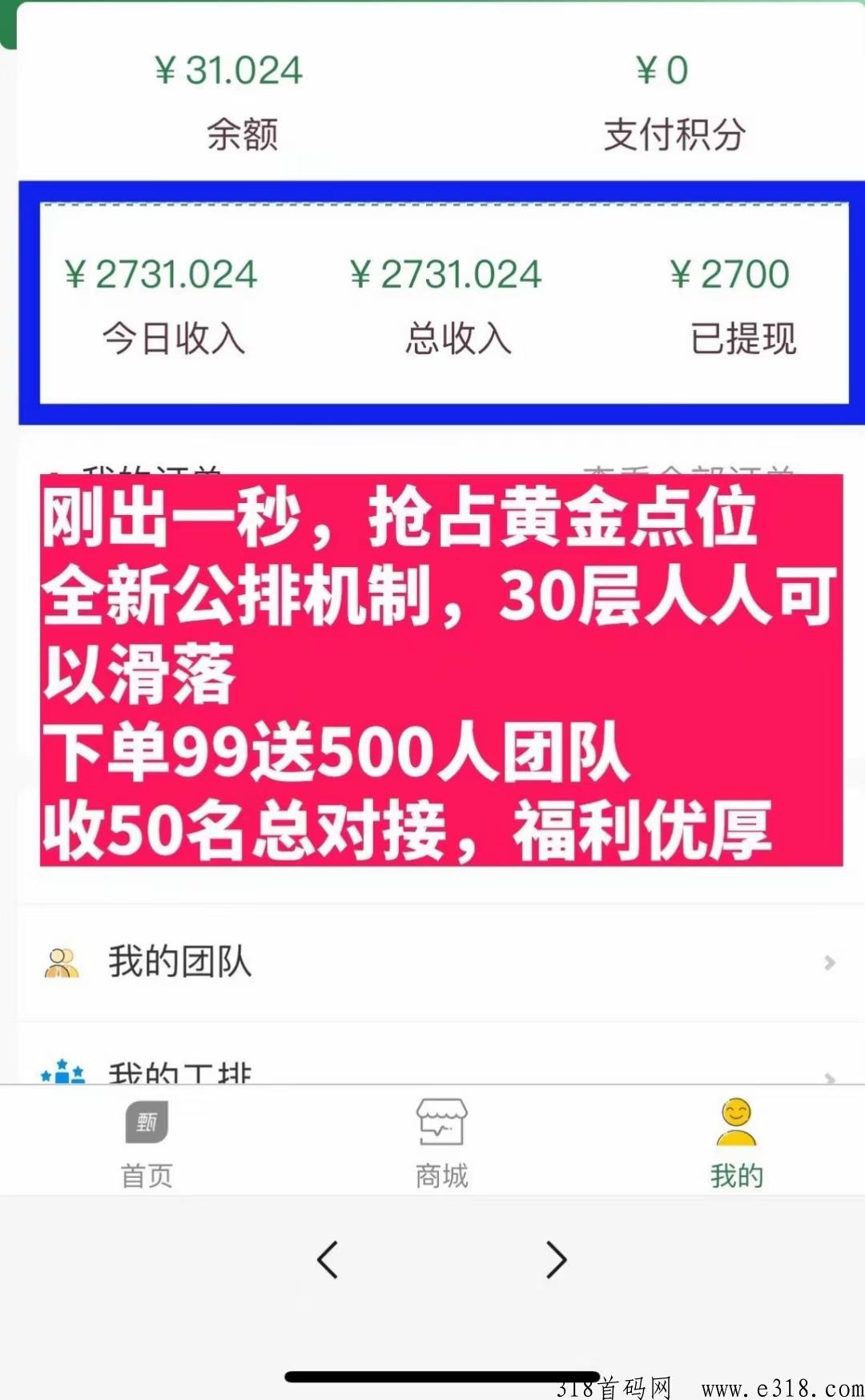 乐购甄选，二二复制大公排