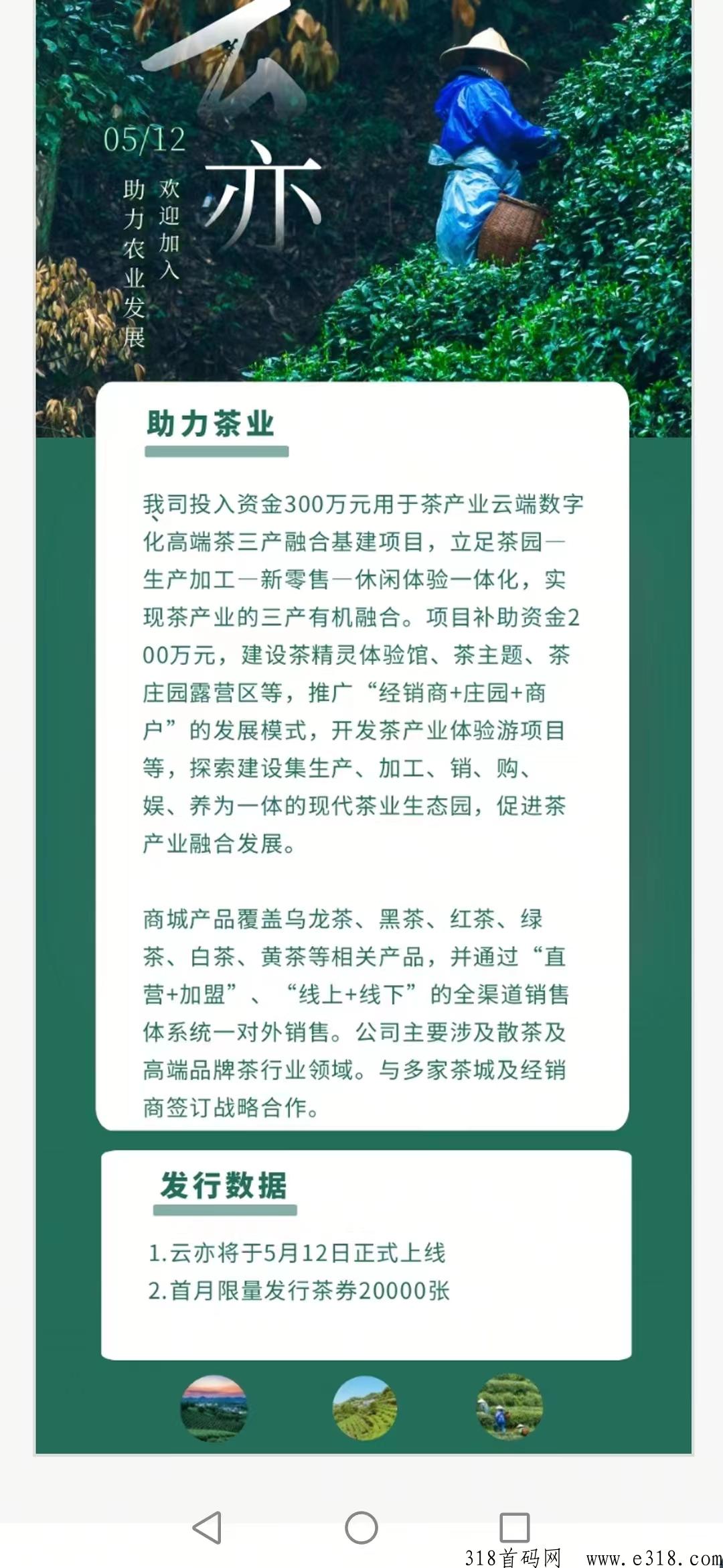 刚出亦茶界首码，可转赠、兑换话费