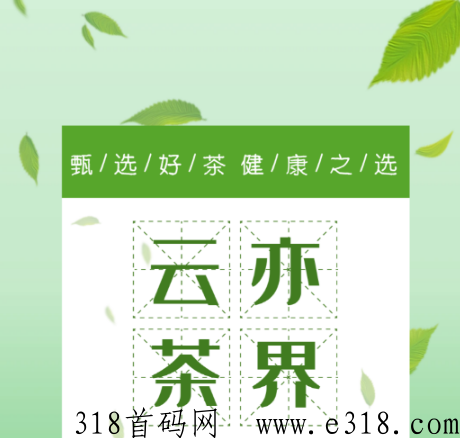 首码云亦茶界，免费注册，己上架应用商店