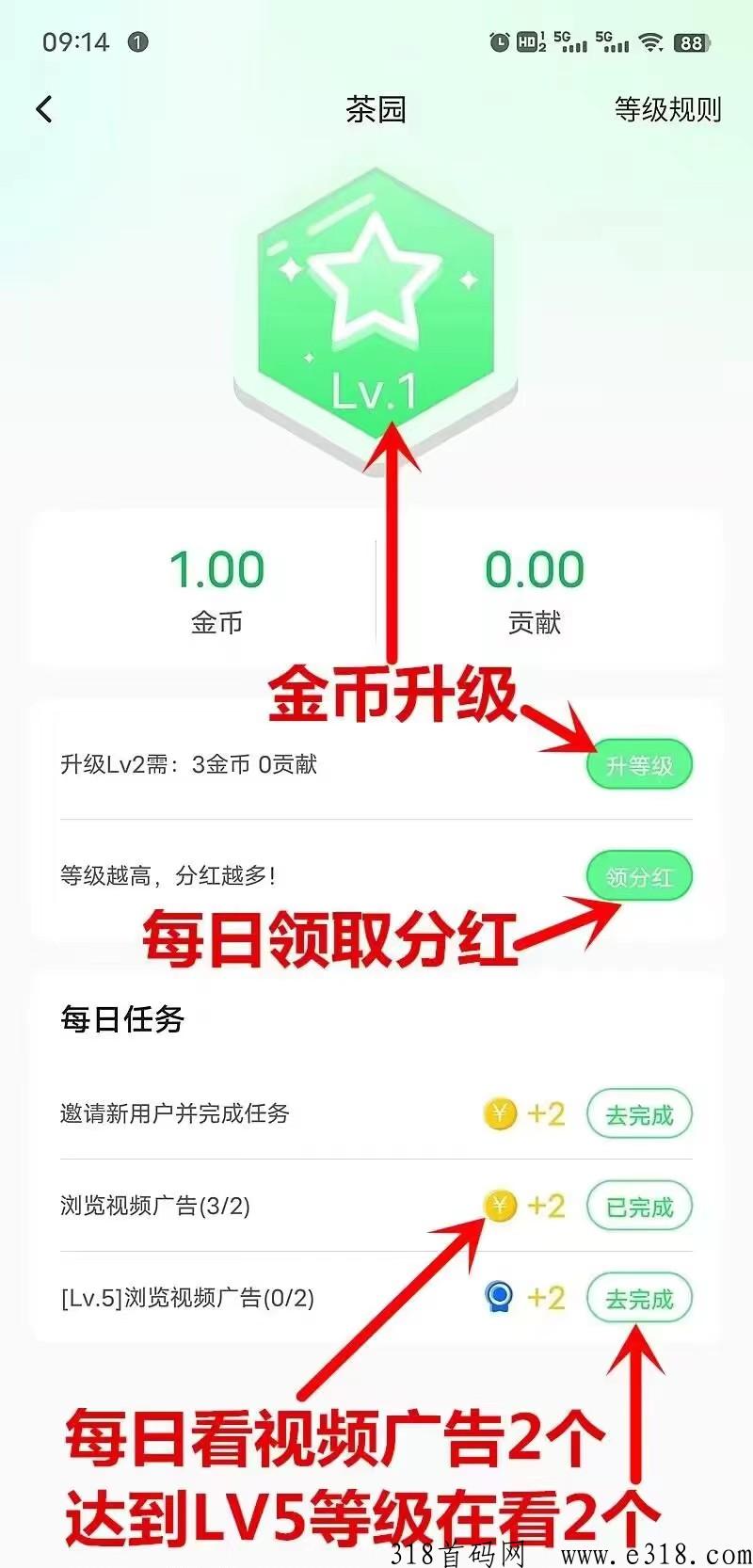 云亦茶界首码，升级可分，可转赠，可兑换话费