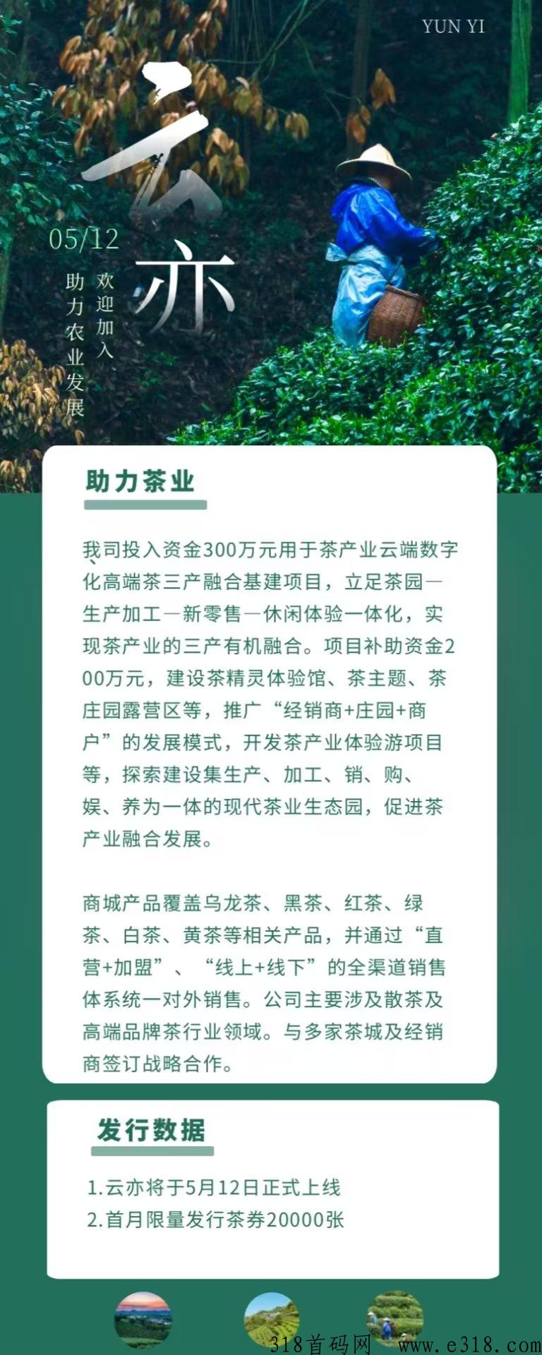 云亦茶界首码