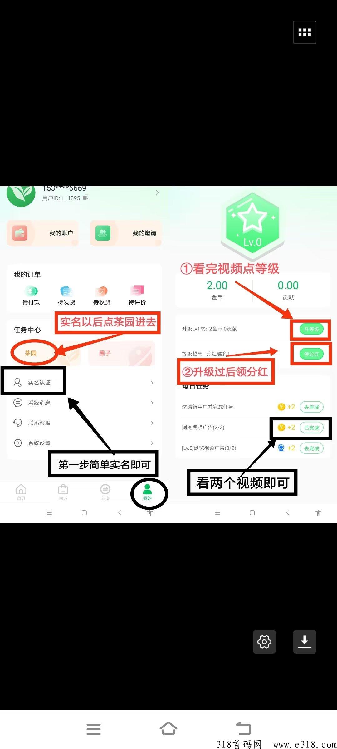 云亦茶界首码