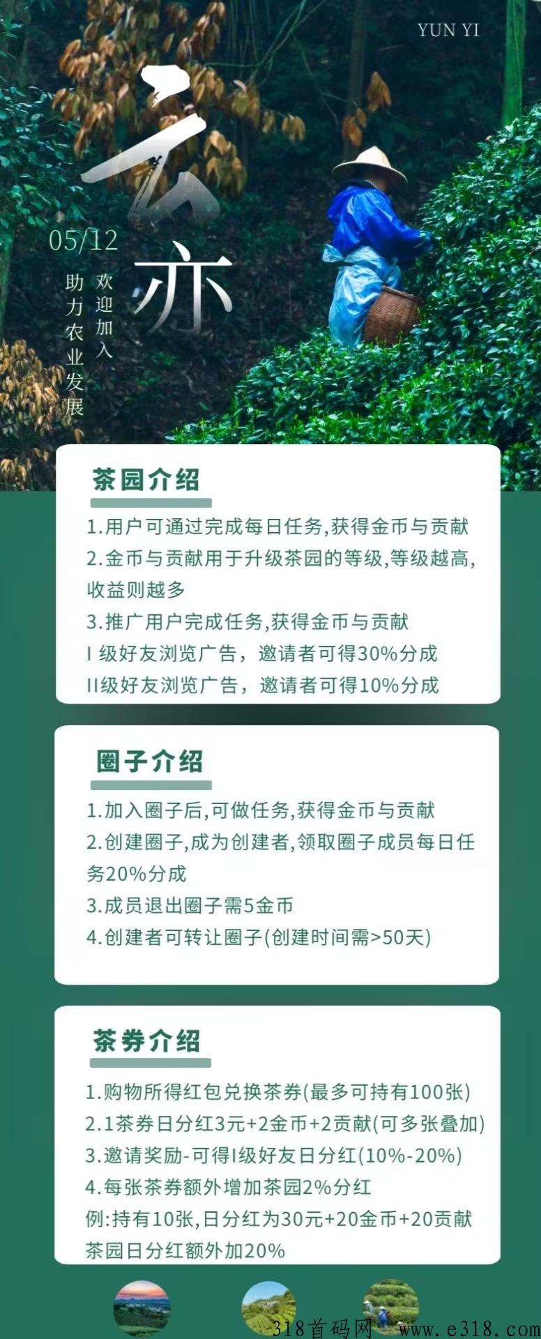 云亦茶界首码