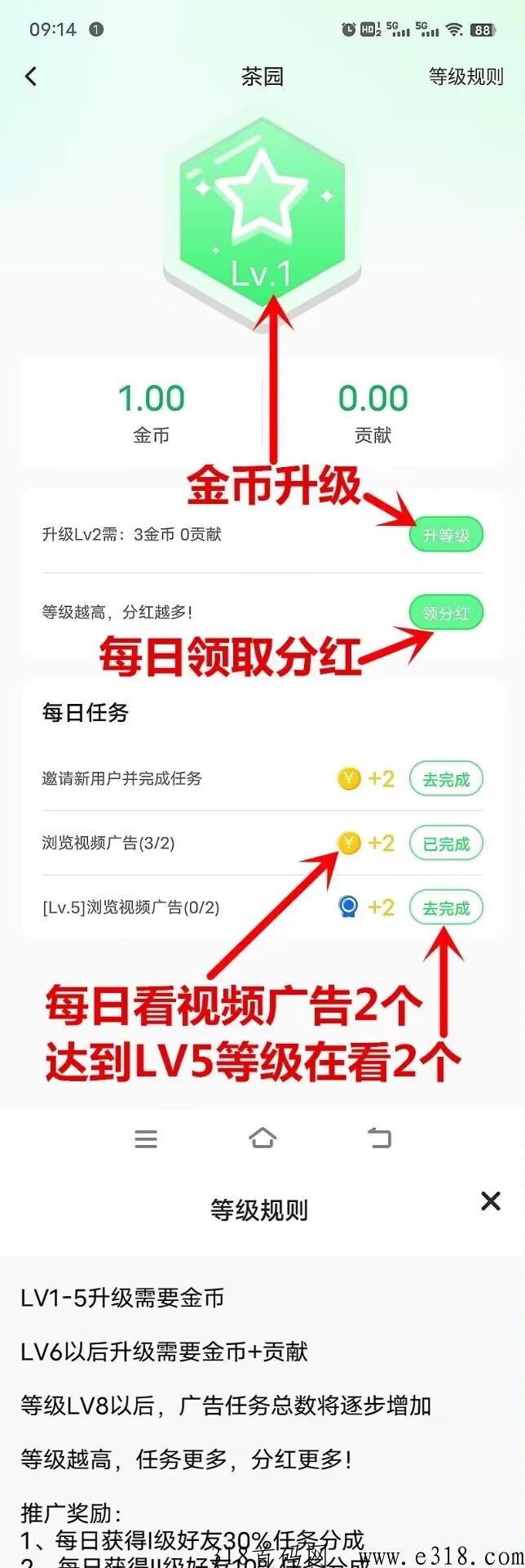 云亦茶界首码