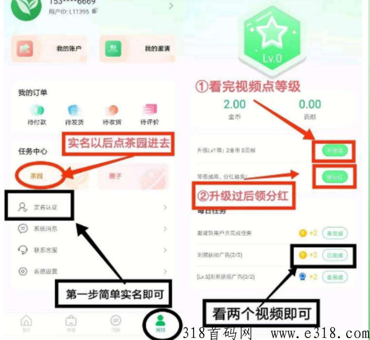 云亦茶界最火爆项目