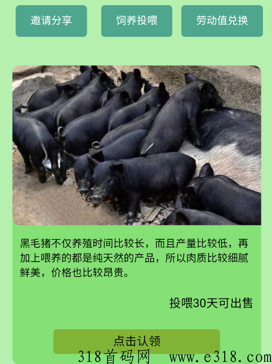 新农经济，注册实名奖励：一旦用户完成实名注册，将获得一头黑毛猪作为奖励