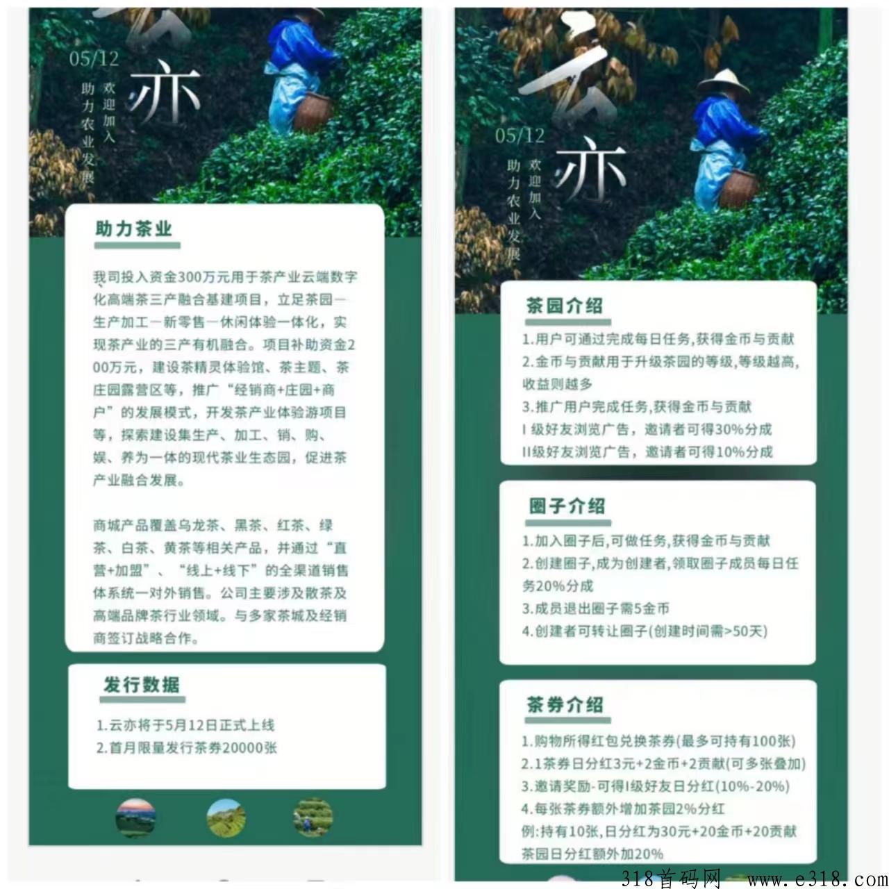 云亦茶界首码！金b或者贡献值都可以转赠！兑换话费！