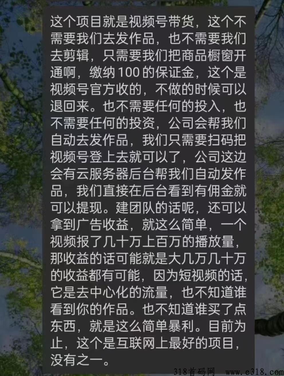 大牛联盟，全自动项目，收益爆炸