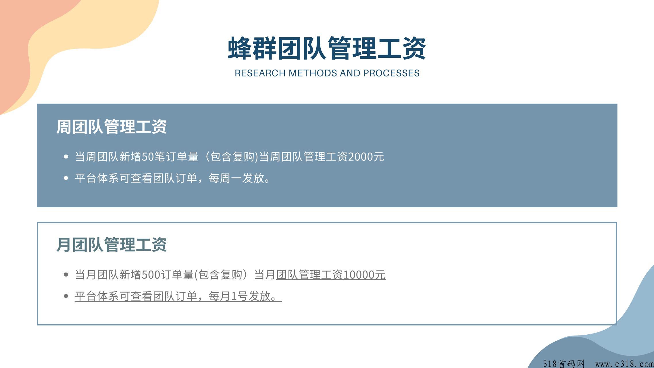 蜂群精选縂对接，艏创新模式，新赛道