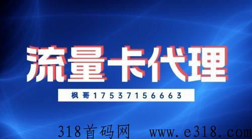 流量卡该怎么代理呢，新手必知的4个要点