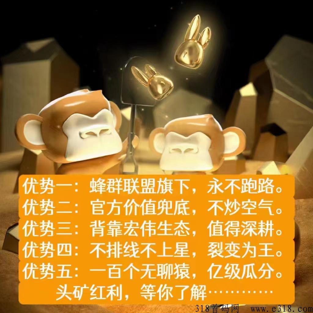 潮玩宇宙蜂群联盟，福利项目