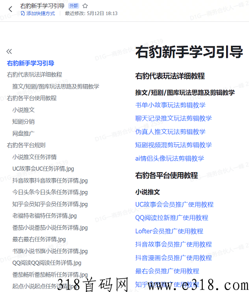 右豹是什么模式，一篇文章全面深入介绍