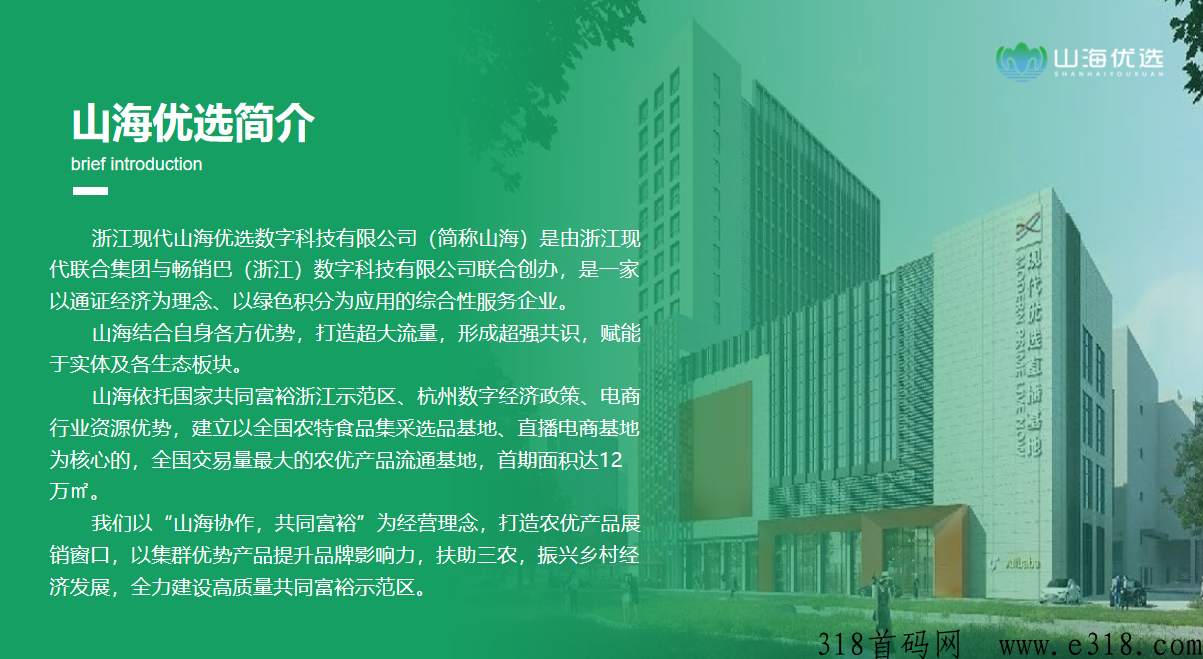 山海优选2023年年度王者项目，不求暴，只求稳定