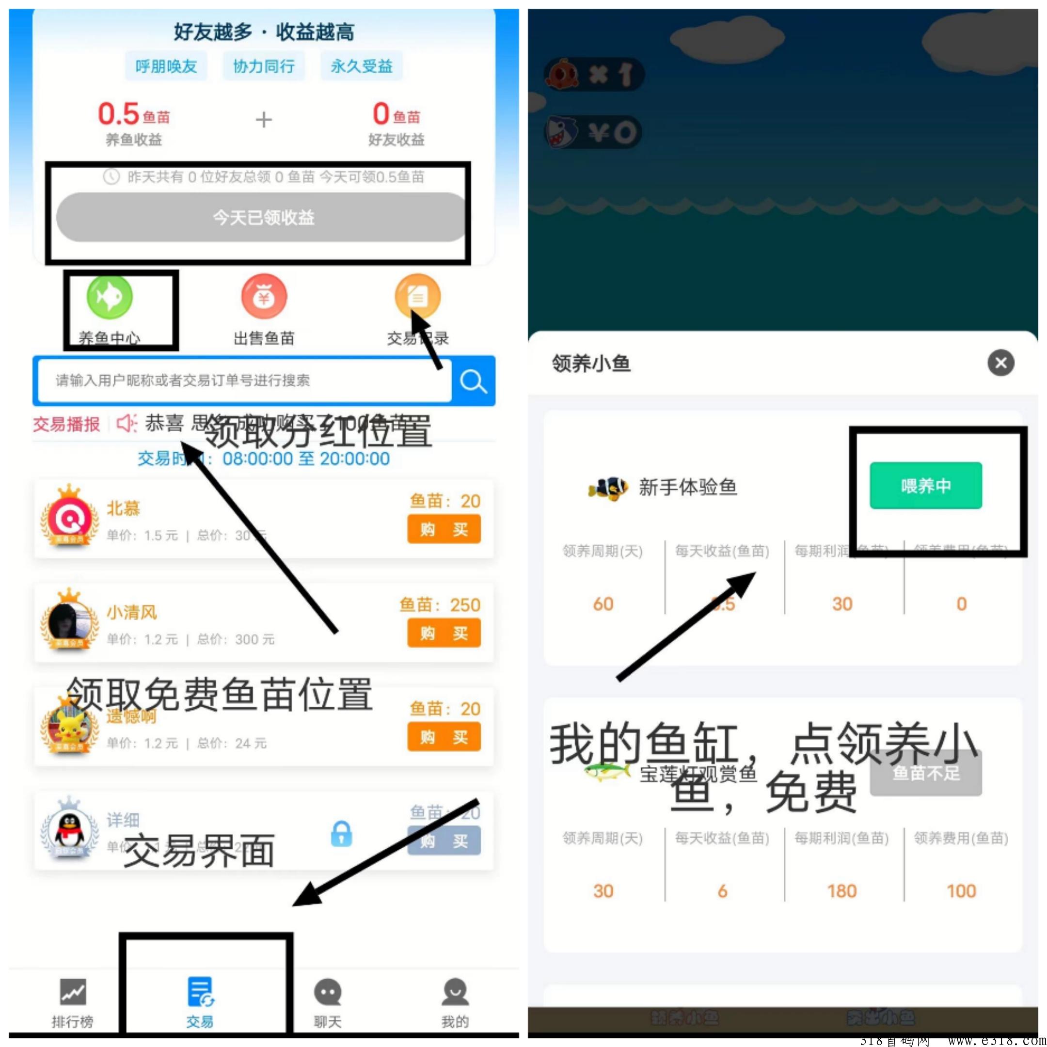 今日首码，海洋之家