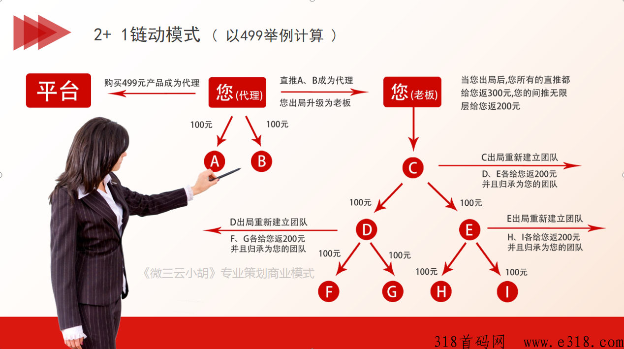 专业分销系统开发