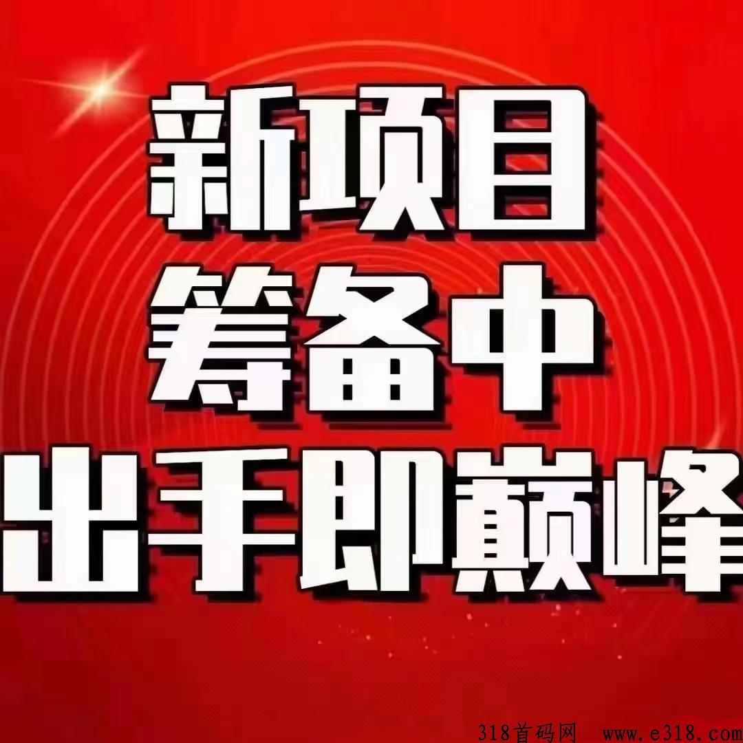 掘金之旅加强版，创新的模式，预计一周后出资料，对接团队长