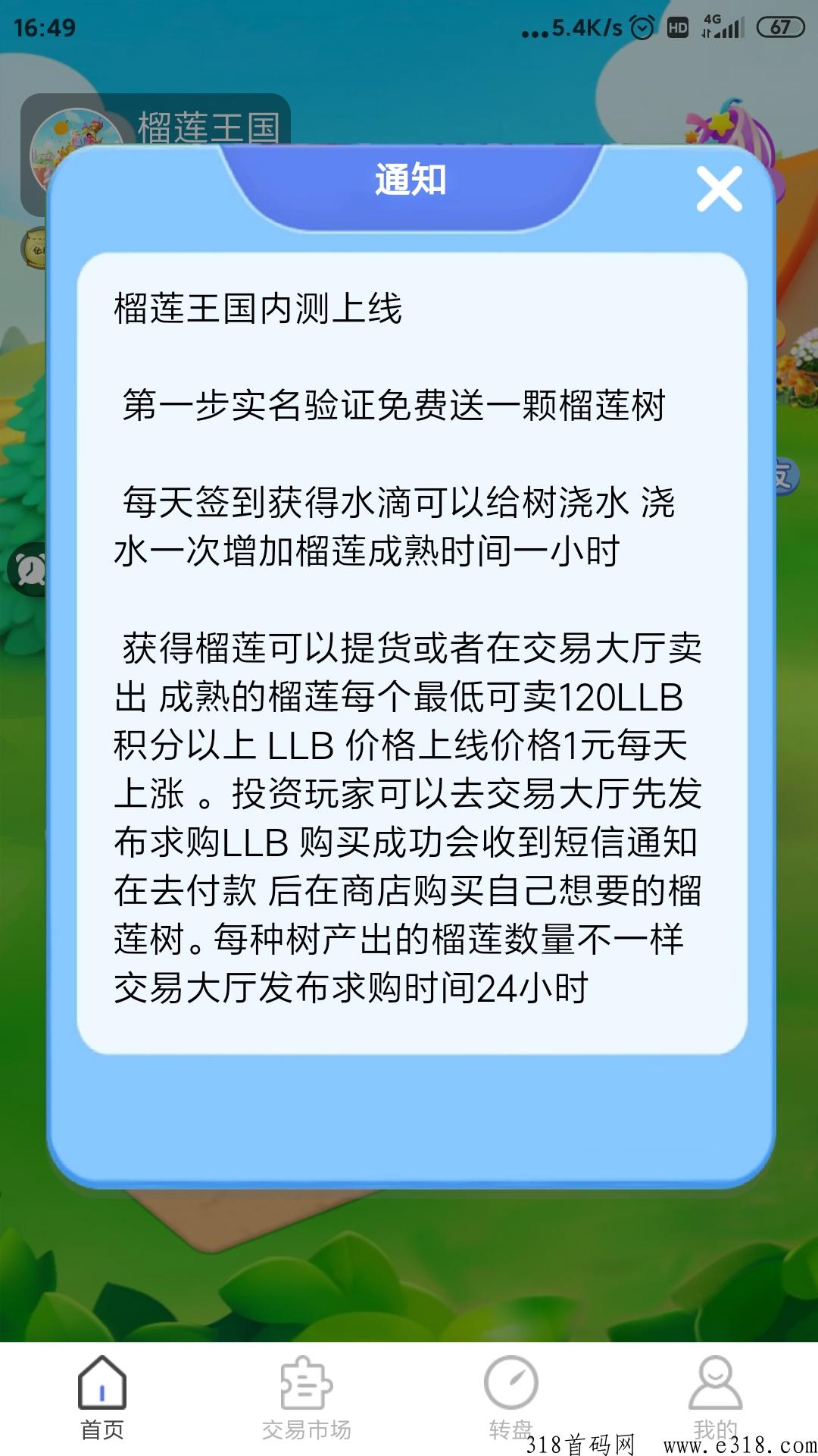 榴莲王国首码，全网一条线滑落，早占位早收益