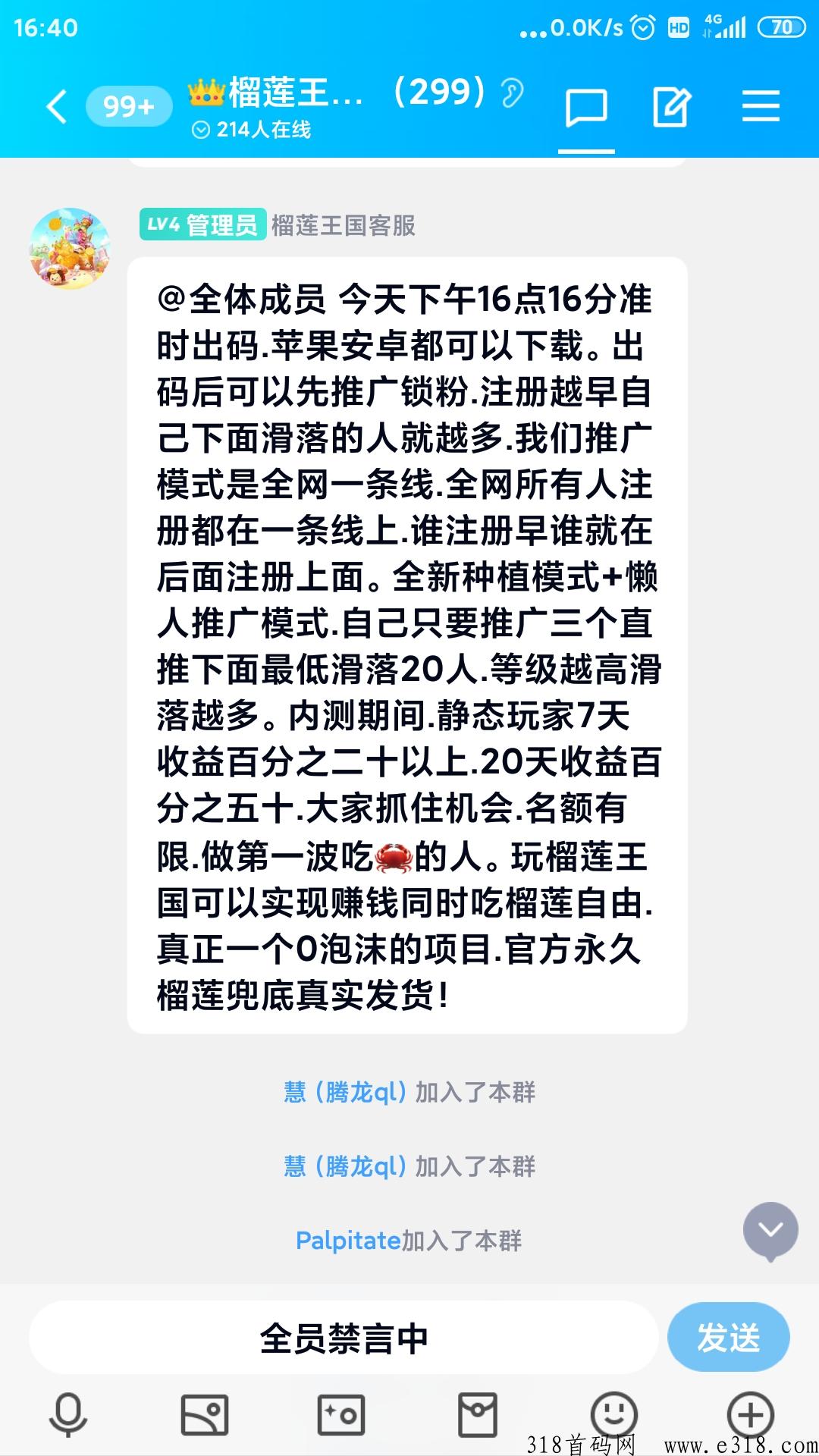 榴莲王国首码，全网一条线滑落，早占位早收益