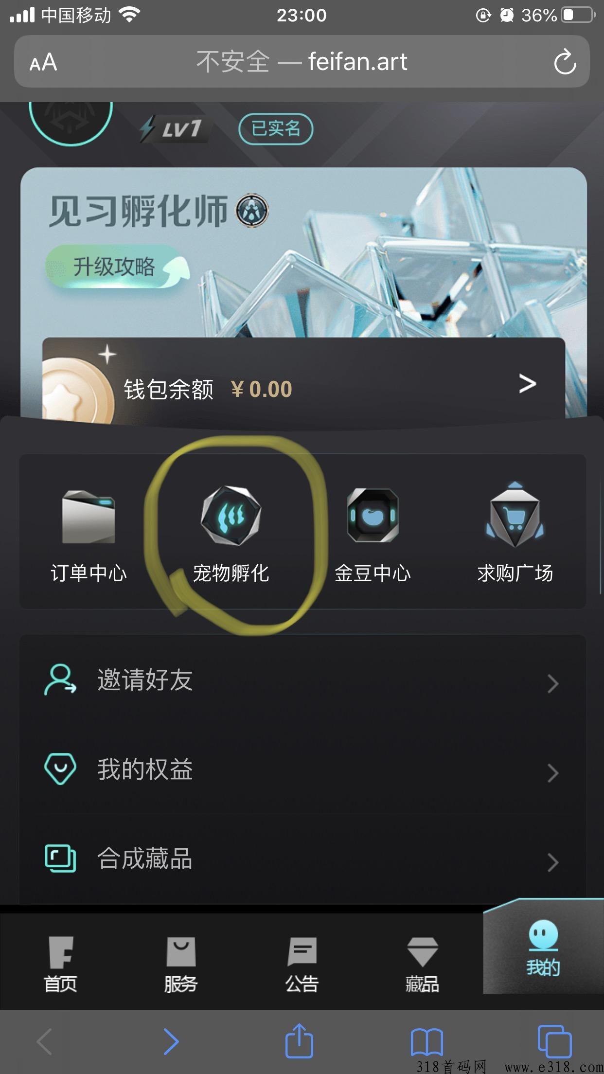 非凡艺术，合宠物赚米，可在右下角市场交易宠物，不用看广告