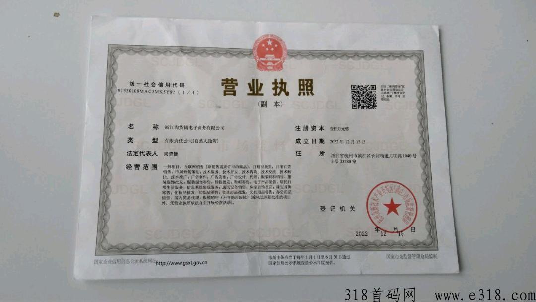 淘货铺，无货源网店一对一导师教你赚米