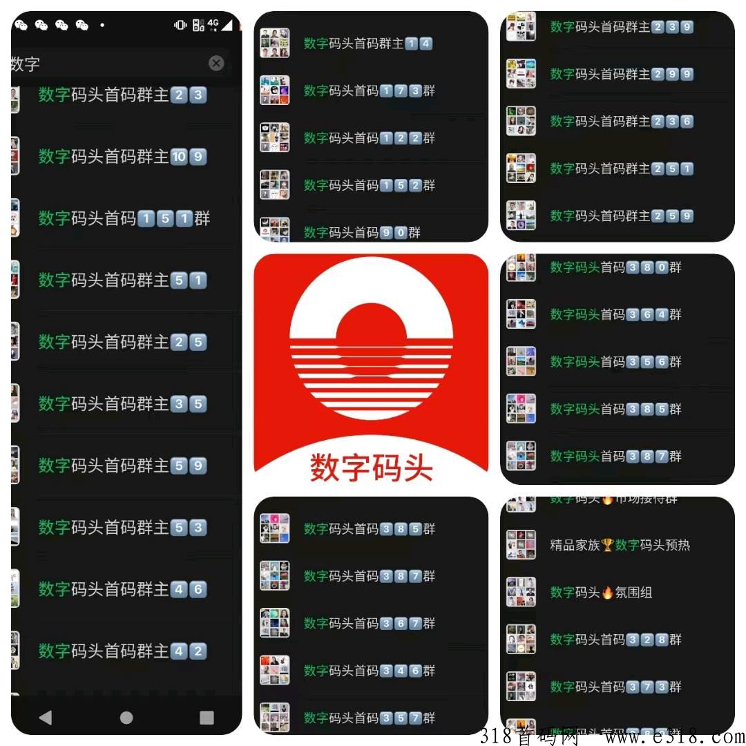 嗖嗖老板新项目【数字码头】轻松赚米项目