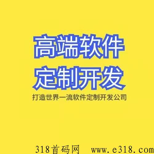 专业软件定制开发，实体开发公司，小程序都能做