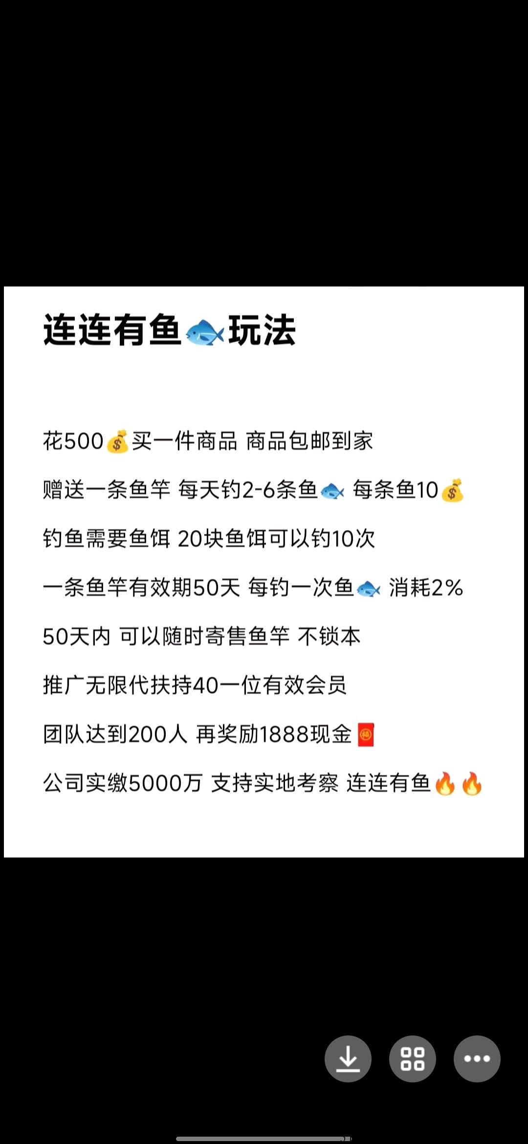 连连有鱼，首创模式，实体公司