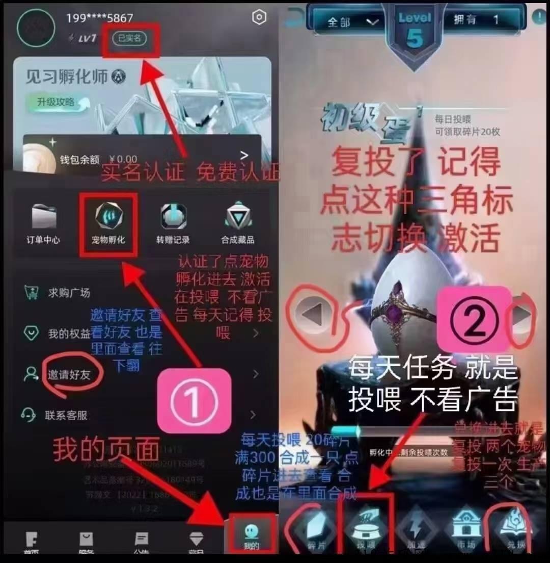 非梵艺术，一个坤土价高，无限制