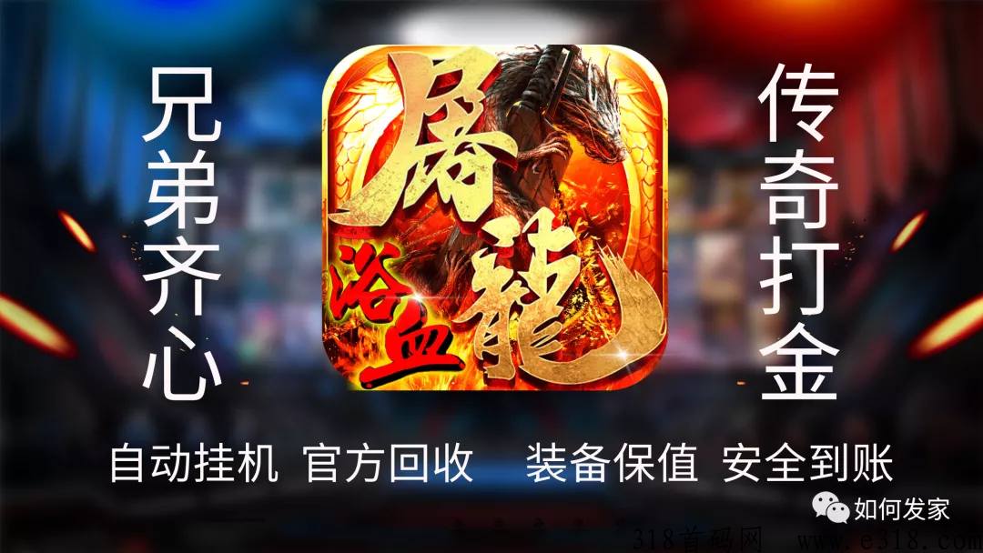 《龙珠之刃》真实打米版，附游戏装备回收价格表