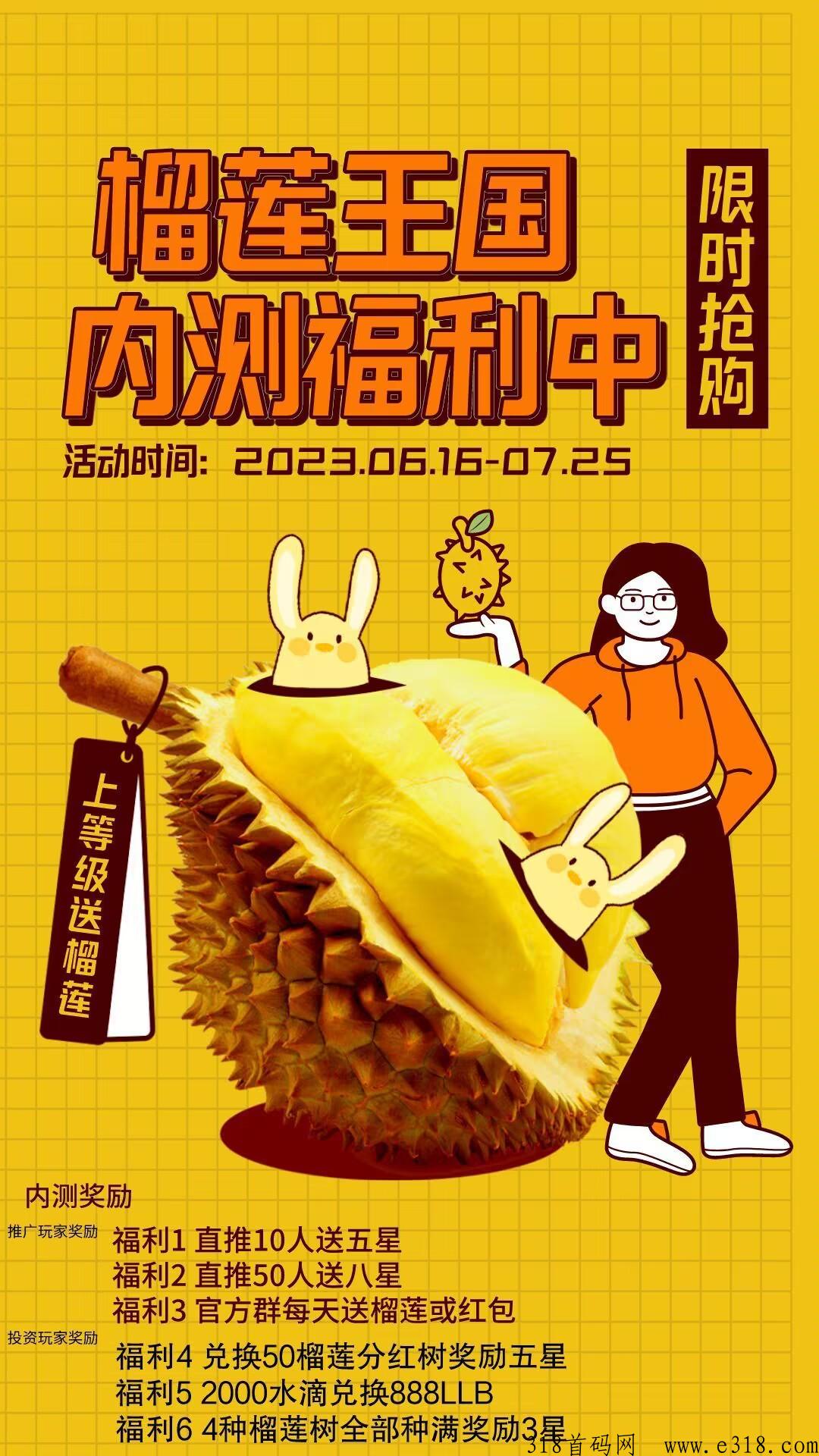 榴莲王国！长久落地项目，成熟的榴莲可寄到家