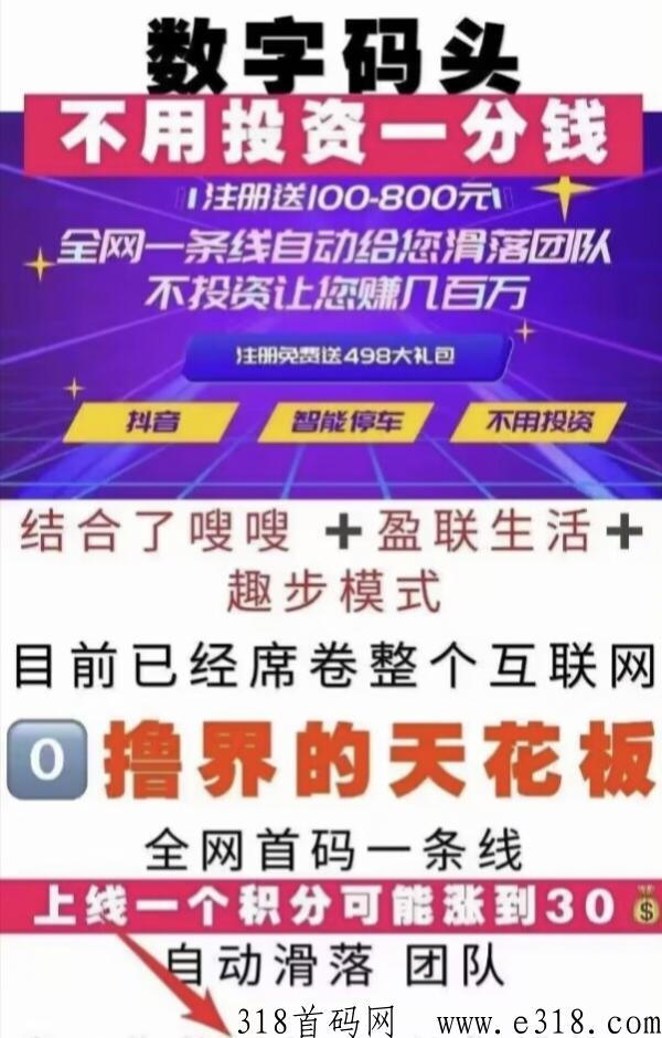 数字码头首码刚出！推一个人也有可能逆风翻盘！带自动运行工具！全网对接团队长领导人