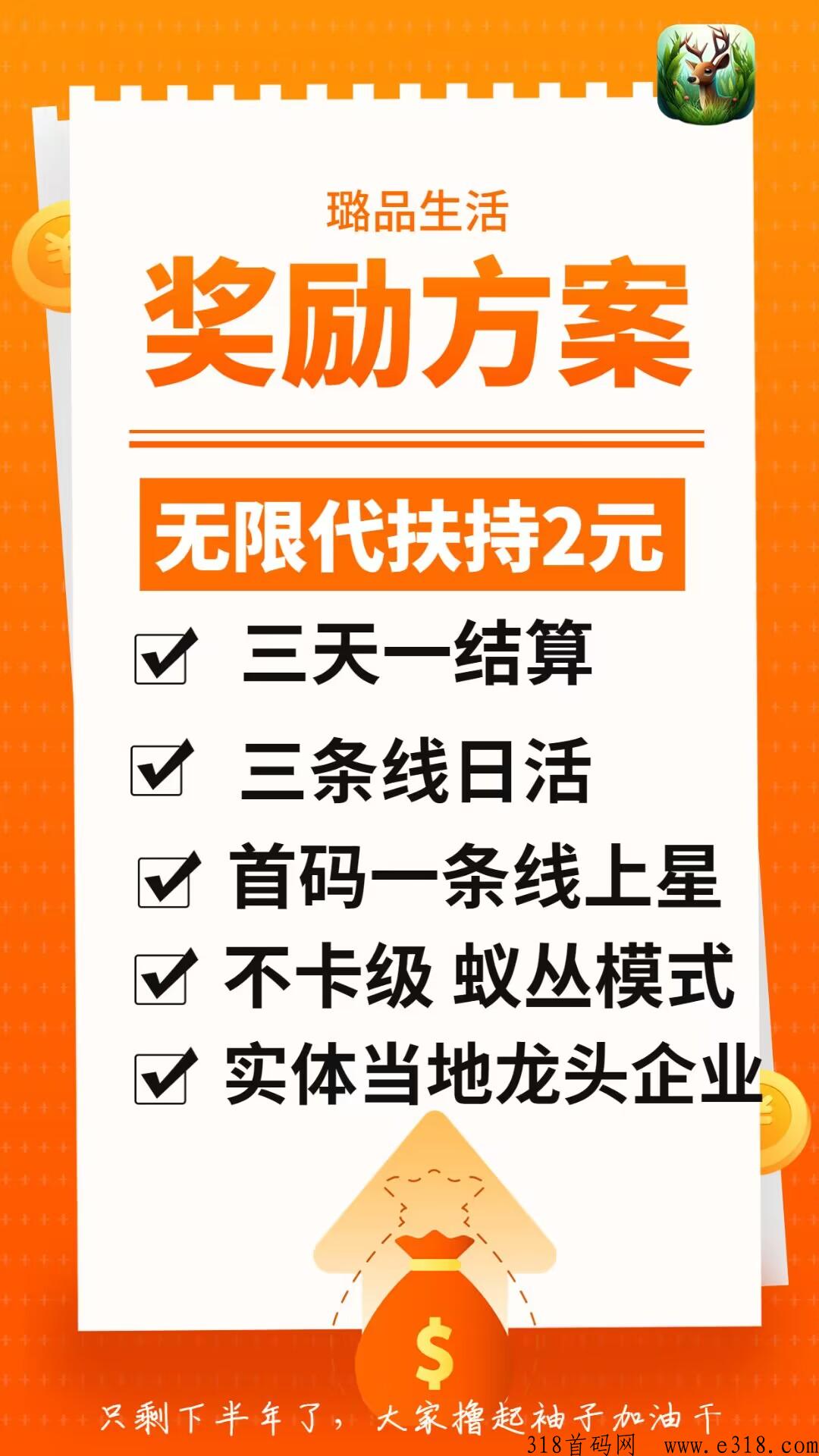 璐品生活，2023黑马项目