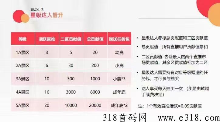 璐品生活龙头企业排线三星兜底