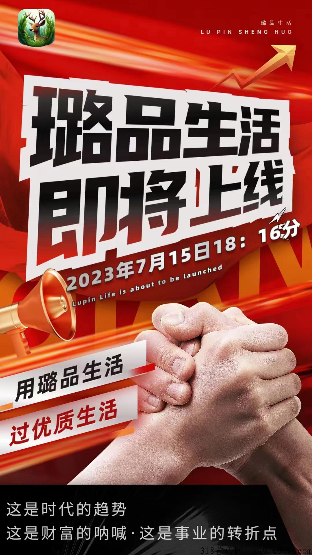 璐品生活龙头企业排线三星兜底