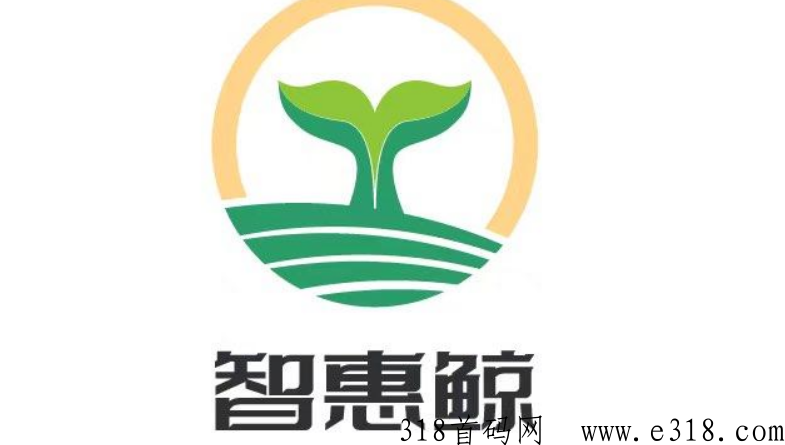 智慧鲸首码是什么，到底怎么玩才可以赚到米