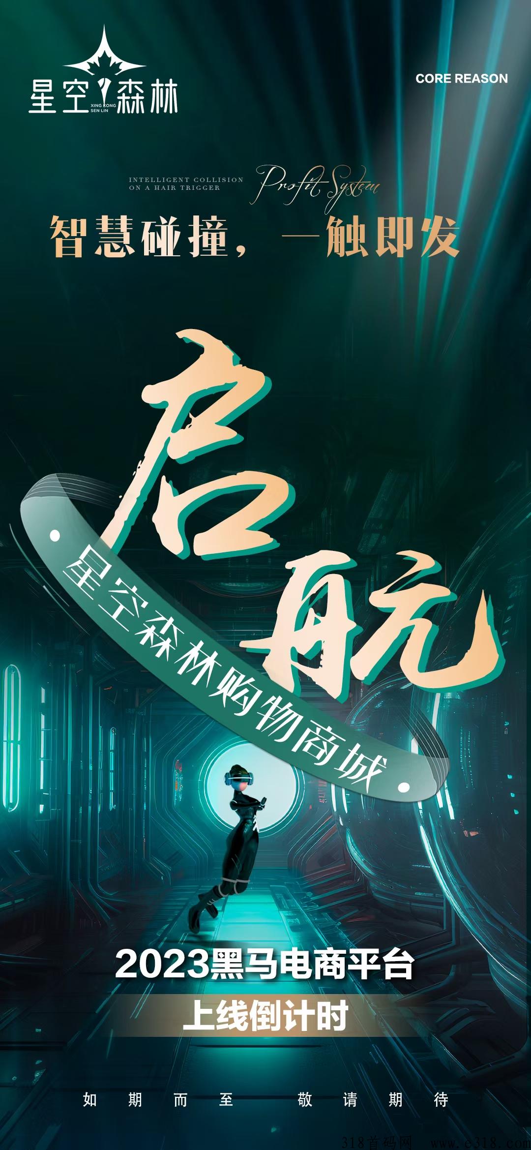 星空森林首码对接