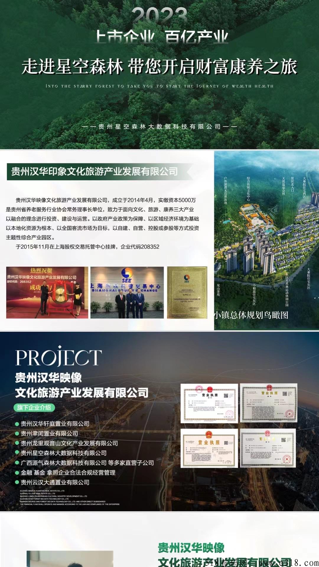 星空森林，总部对接，全新模式，扶持待遇高，全网对接团队！