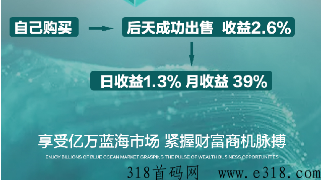 星空森林全网置顶待遇对接团队