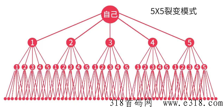 大表哥天花板项目，最高收益，奖励巨丰富5×5滑落，10W团队等你入座