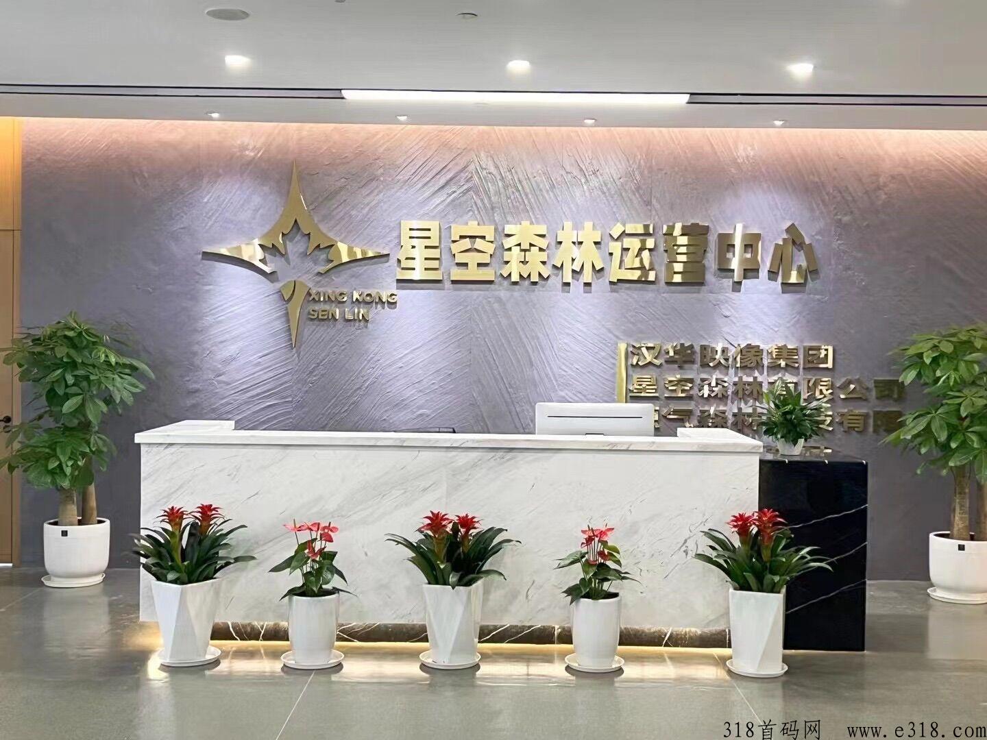 星空森林，首码对接，团队福利待遇拉满