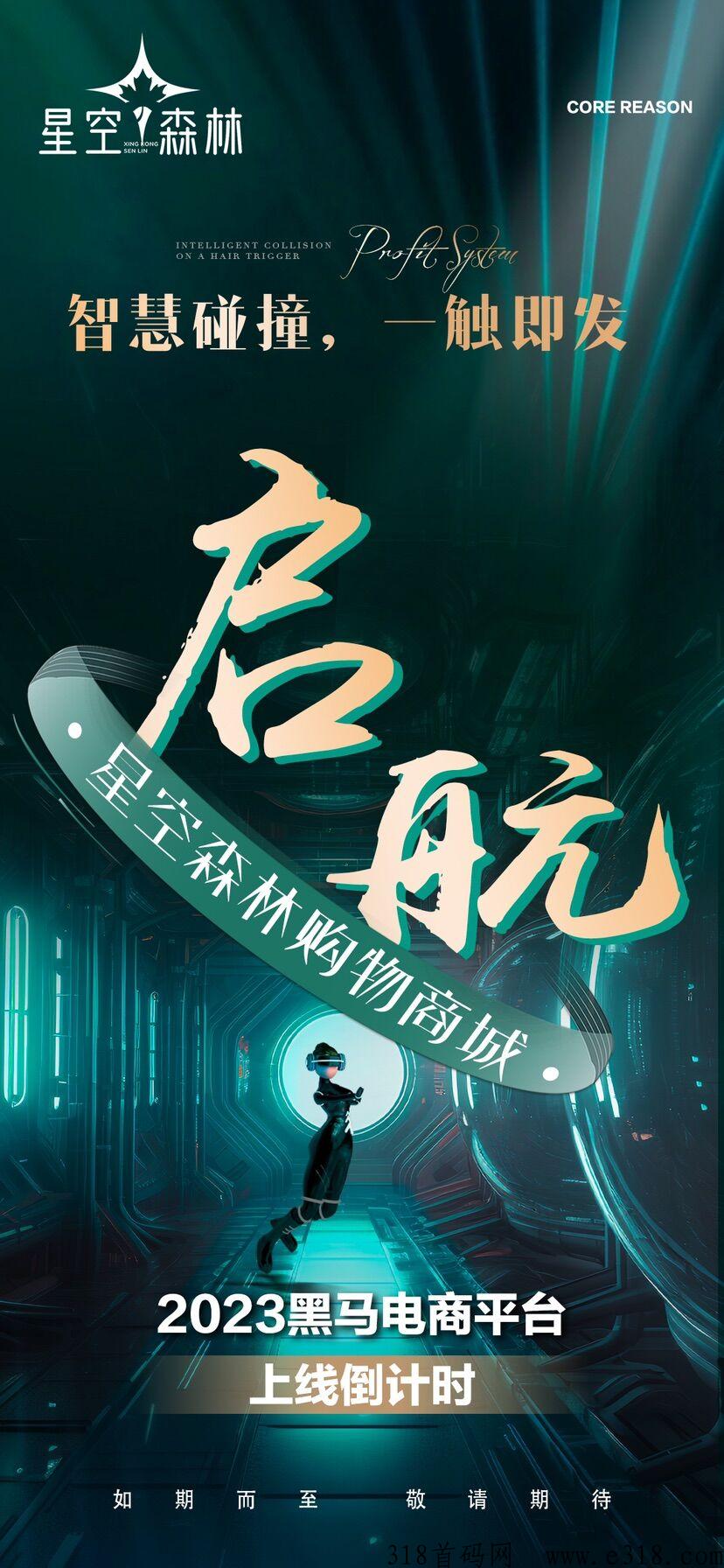 星空森林，首码对接，团队福利待遇拉满