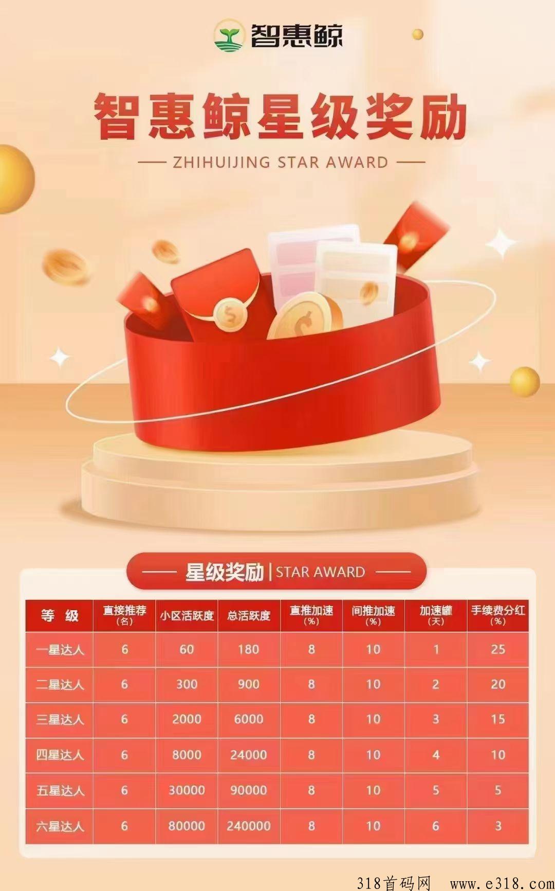 首码智惠鲸排线大区兜底二星