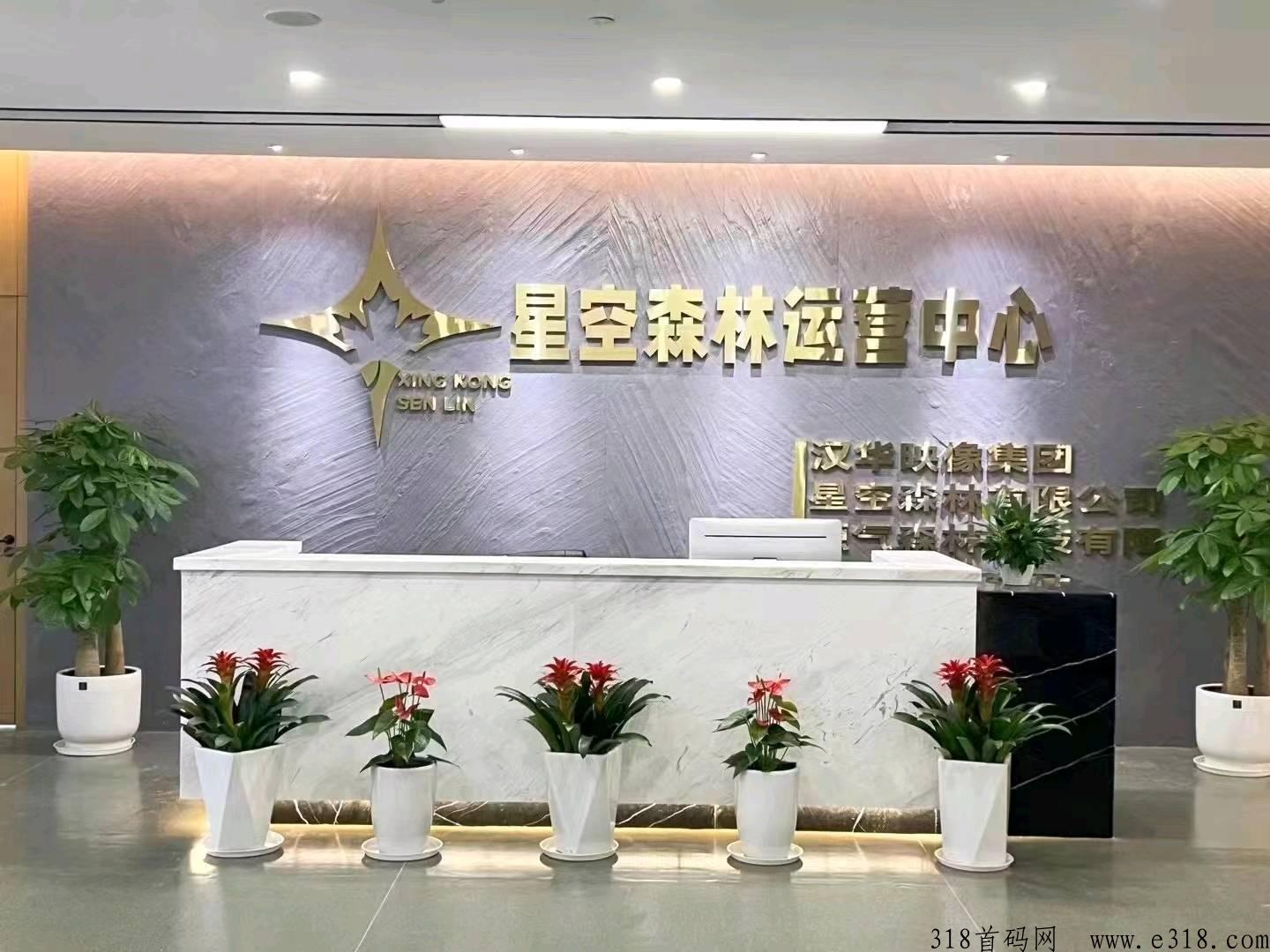 星空森林上市公司大项目，即将启动，最高扶持