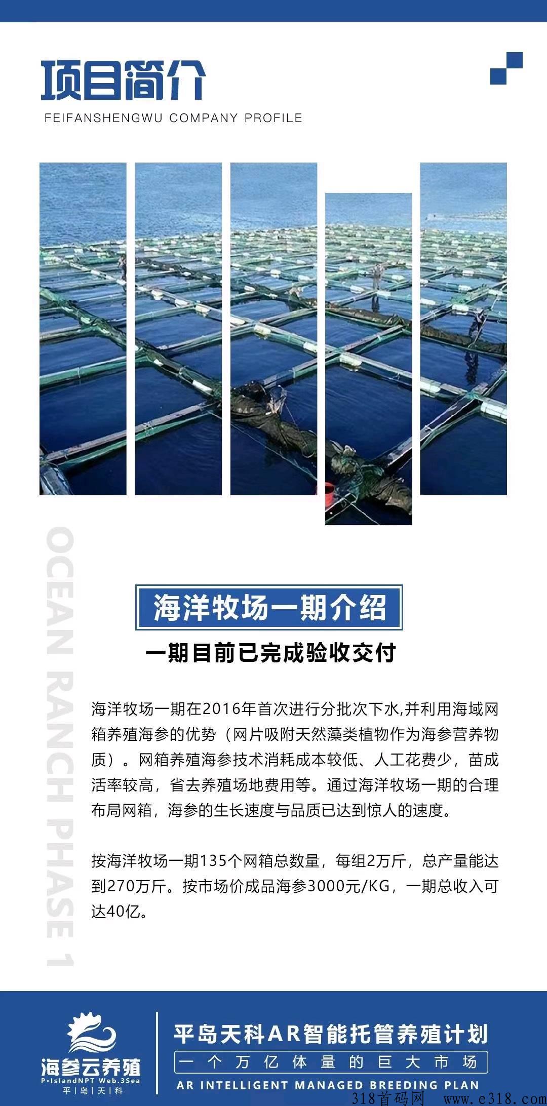 海参APP全新启动，智能云养殖，招募团队长，待遇置顶