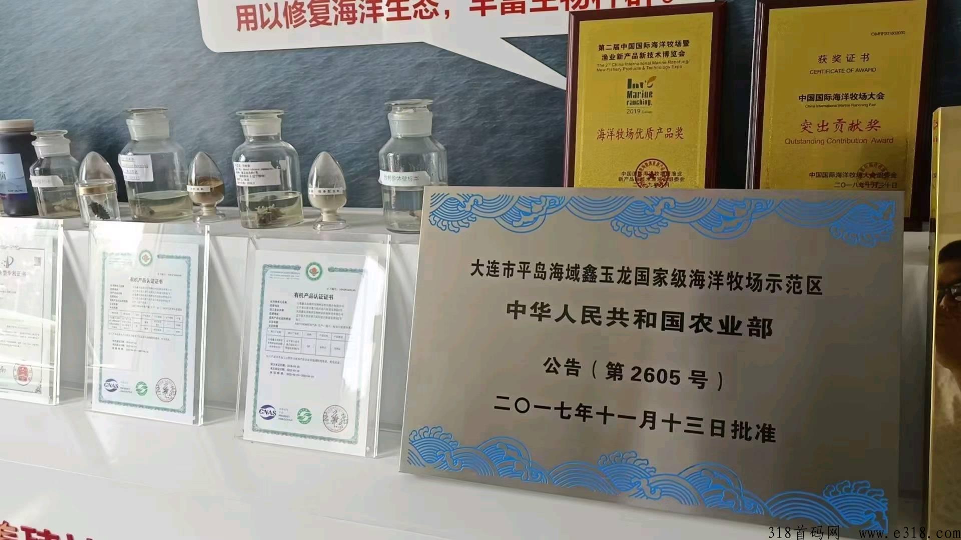 海参APP全新启动，智能云养殖，招募团队长，待遇置顶