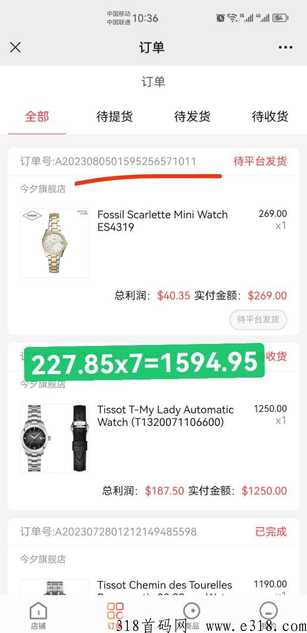 云仓跨境电商，项目交流，小白可做