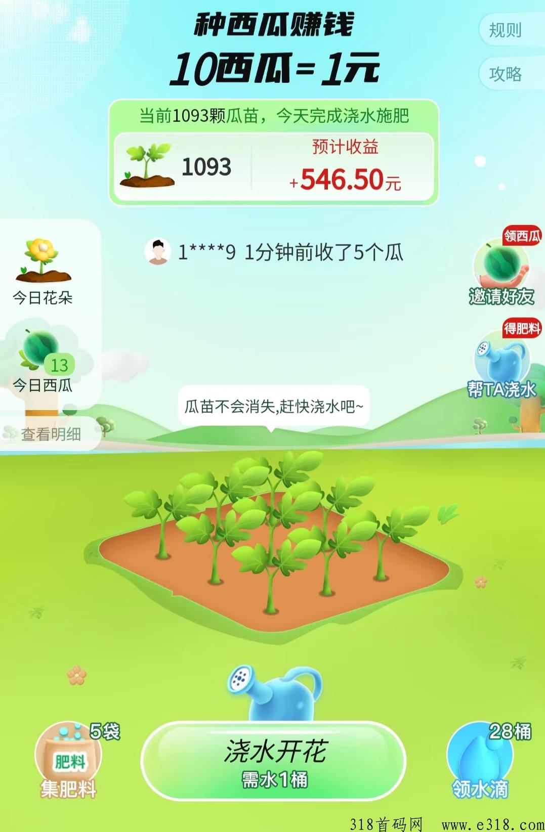 西皮购，种西瓜赚米