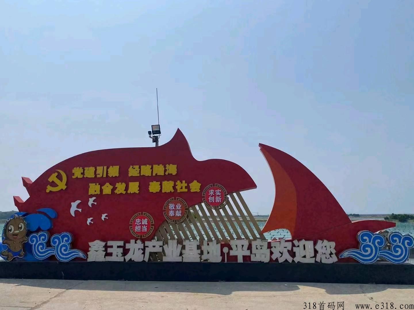 海参APP全新启动，圈外项目，全新模式，上车吃肉，对接全网待遇置顶，