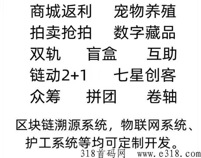 实体开发公司，专业开发各种系统项目，仿盘