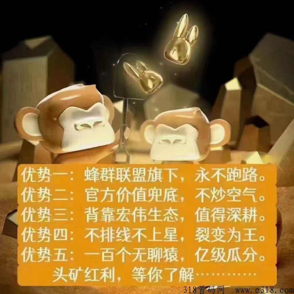 潮玩宇宙，全网顶级扶持！